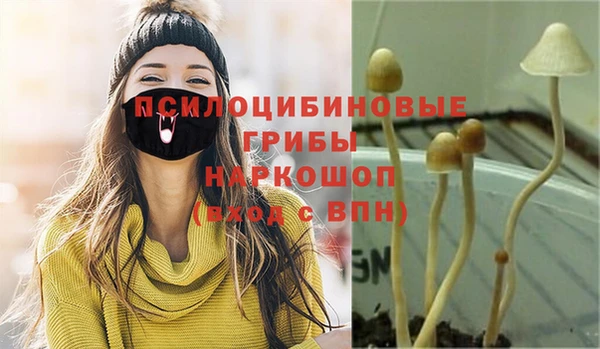 каннабис Алзамай