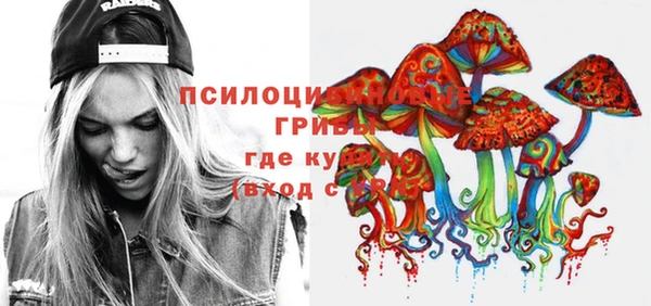 крисы Алексеевка