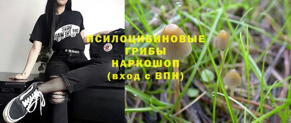 каннабис Алзамай