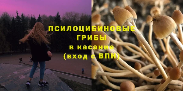 крисы Алексеевка